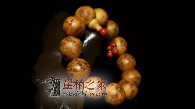 崖柏:生命的暗香浮涌-5