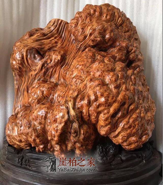 文玩新手知识,崖柏介绍-1