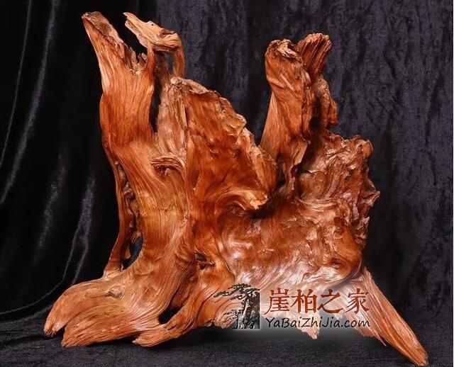文玩新手知识,崖柏介绍-5