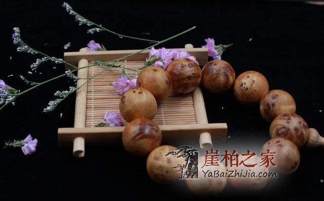 探秘太行崖柏久负盛名背后的故事!-2