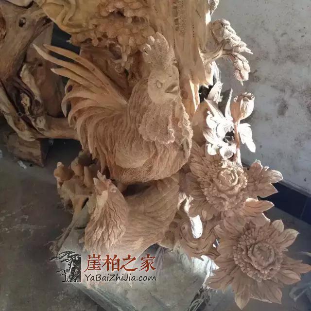 崖柏究竟是怎么历尽艰辛,成长的!-3