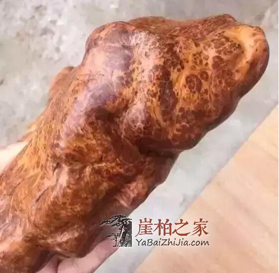 石头缝抠出来块长黑毛的木头,去皮后发现是崖柏蚂蚁腿-6
