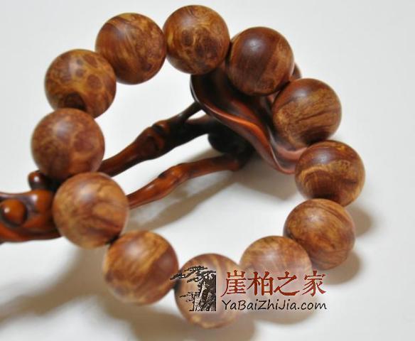 同样是崖柏,为什么太行的就比四川的要好?-4
