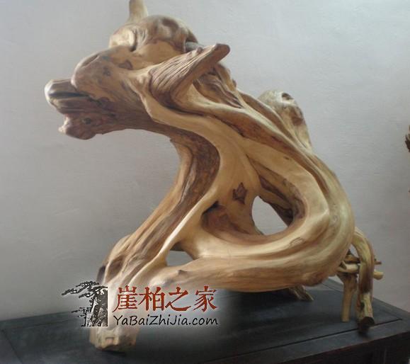 同样是崖柏,为什么太行的就比四川的要好?-2