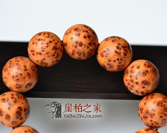 同样是崖柏,为什么太行的就比四川的要好?-1