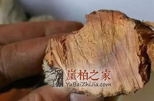 崖柏陈化料:商家最爱忽悠你的几个方面-1