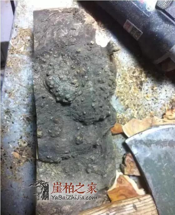 崖柏盘玩最全攻略,竟然还能盘出玻璃底-8