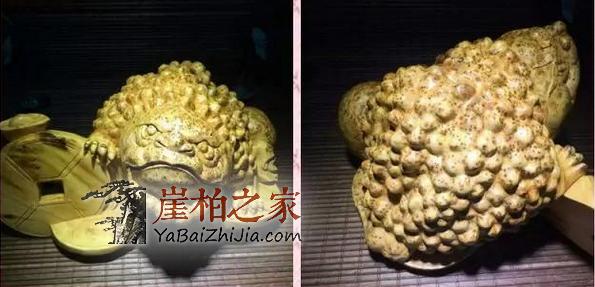 干货:如何区分太行料,川料,藏料崖柏?-1
