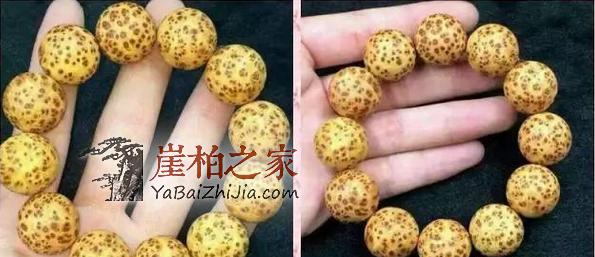 干货:如何区分太行料,川料,藏料崖柏?-2