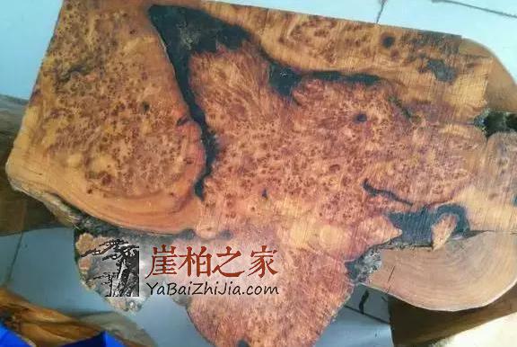 干货:如何区分太行料,川料,藏料崖柏?-4