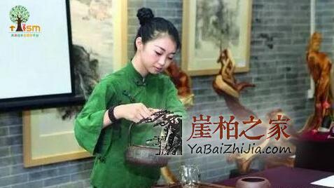 岁月沉淀,气韵悠远,细说崖柏的香味-3