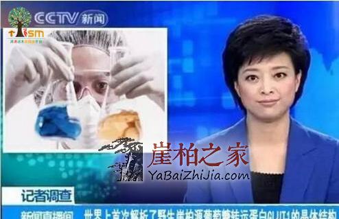 岁月沉淀,气韵悠远,细说崖柏的香味-4