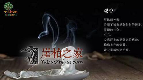 岁月沉淀,气韵悠远,细说崖柏的香味-5