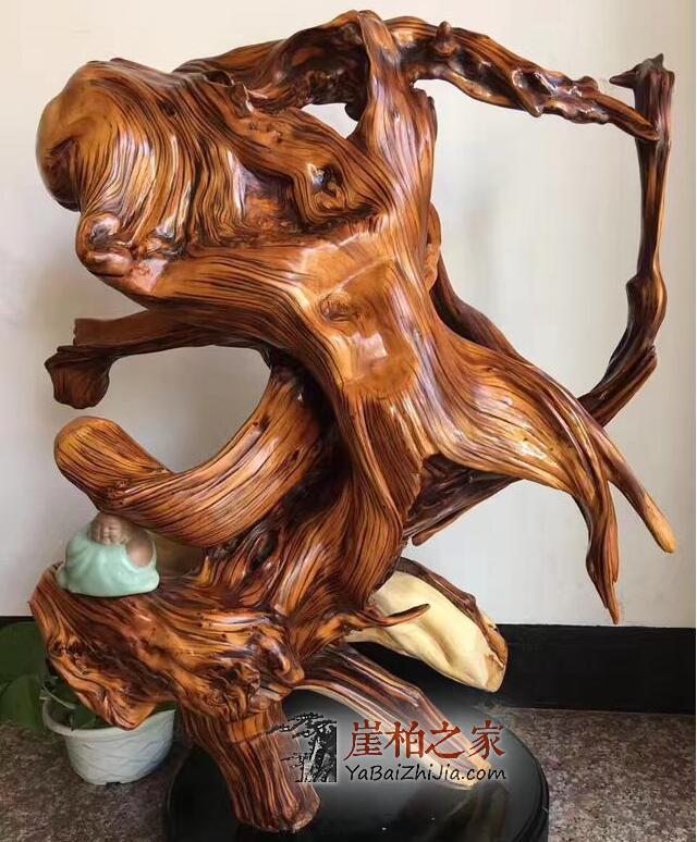 玩崖柏,九个鉴赏标准要知道!-4