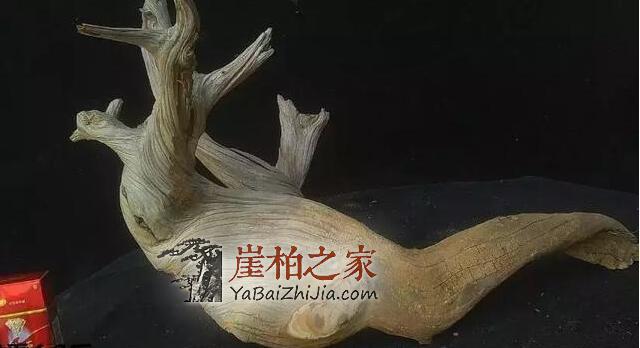从一个小女生,成为年销3000万的崖柏木雕大王-14