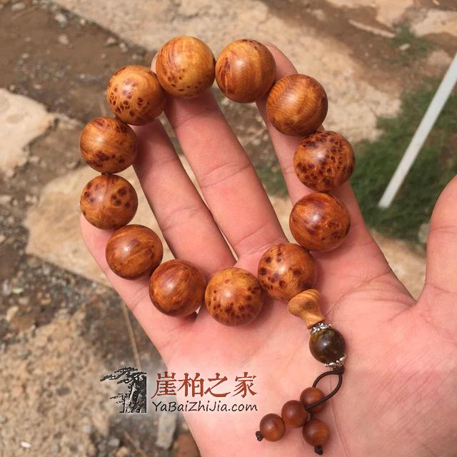 崖柏保养的注意事项有哪些?崖柏保养的七大禁忌-2