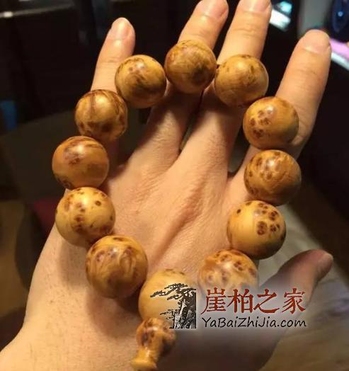 教你慧眼识“木”看穿崖柏瘤疤造假!变成大神妥妥滴!-4