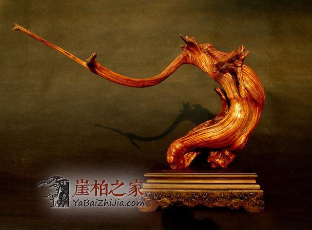 别疏忽大意了!崖柏各品类需要这样保养!-1