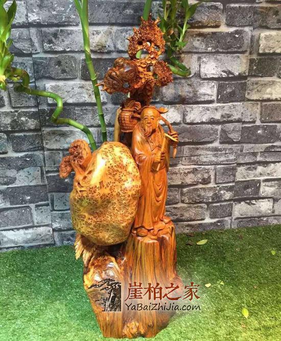 新型投资你知道吗?疯狂崖柏成投资新宠-1