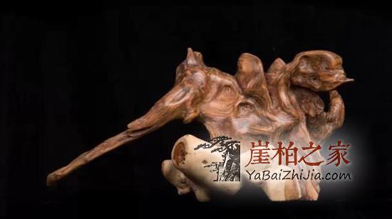 新型投资你知道吗?疯狂崖柏成投资新宠-2