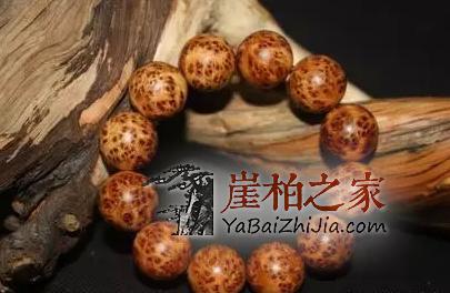 玩崖柏,“多放少盘”才是正确姿势