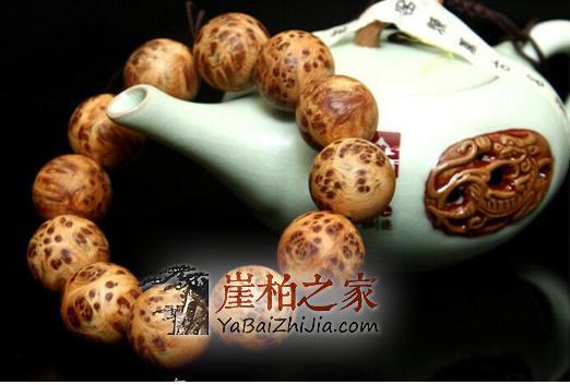 你知道吗,原来崖柏也是一个“讲究人”?-2