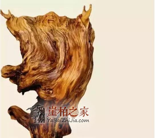 山无柏不奇,室无柏不雅!你家的客厅还缺一件崖柏!-1