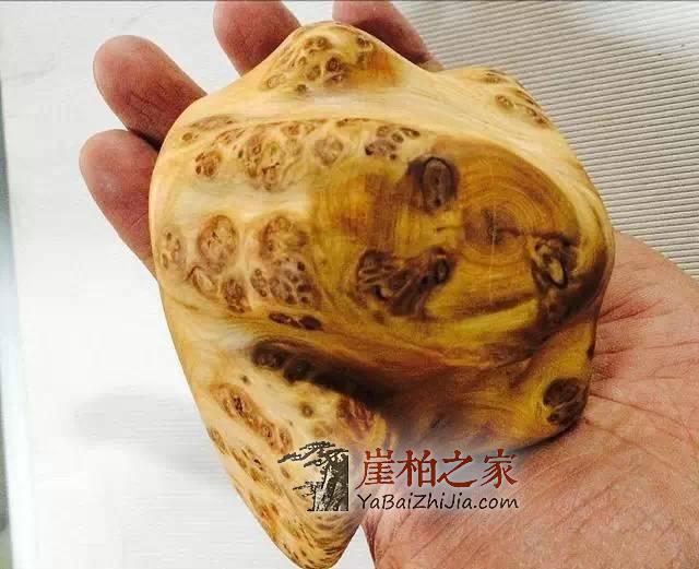 崖柏常识:崖柏收藏攻略-2