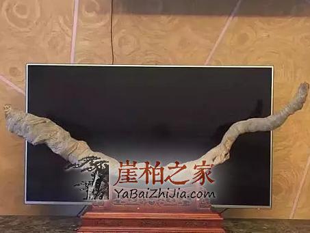 如何用崖柏装饰客厅,看过你就知道了!-3