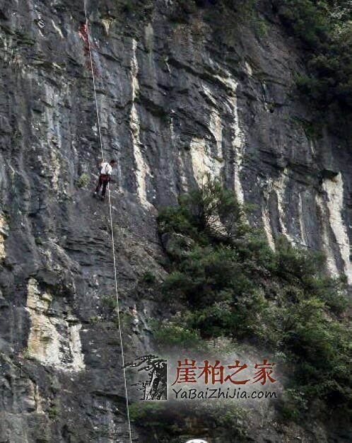 崖柏一般被雕刻成哪几种?完全超乎你的想像,佩服雕工师傅的智慧-1