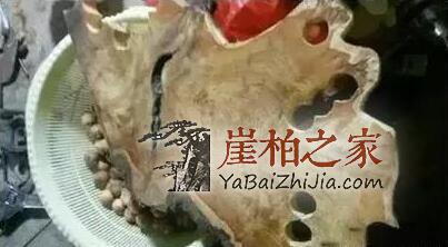 崖柏瘤疤竟然也能伪造?都是用火烧出来的!-5