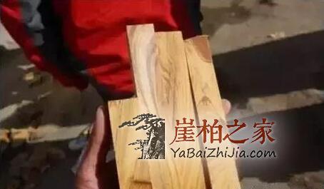 崖柏瘤疤竟然也能伪造?都是用火烧出来的!-12