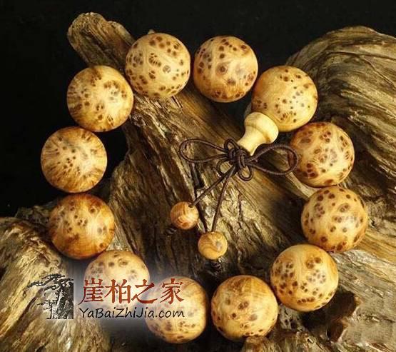收藏崖柏需理智,不要做灭绝物种的刽子手!-2