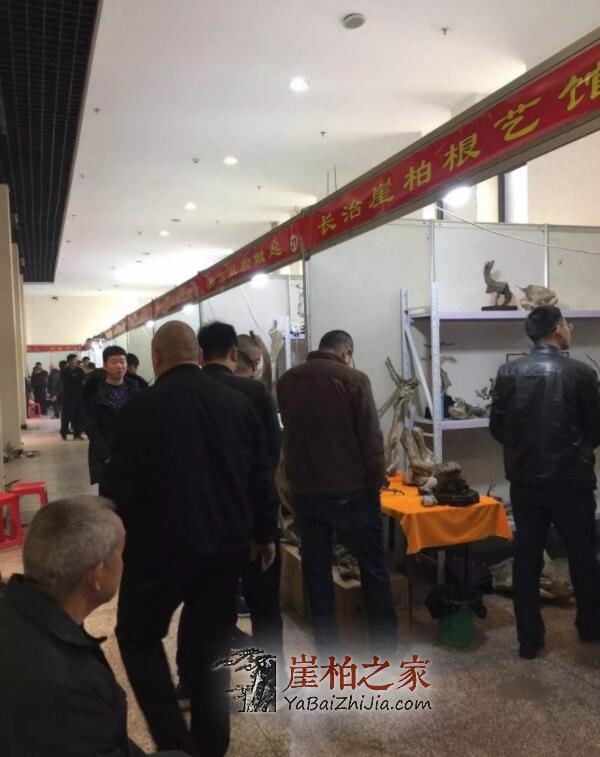 2019太原崖柏展爆发:百万黑骨成交,单日成交额达1000多万!-2