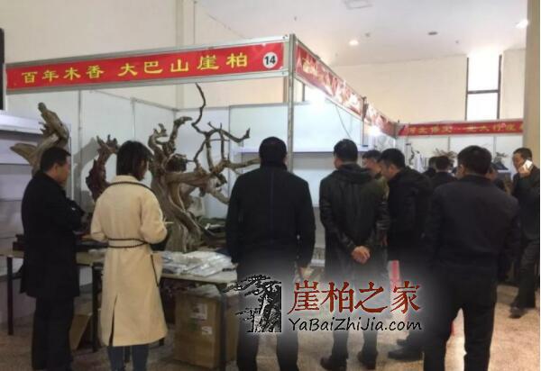 2019太原崖柏展爆发:百万黑骨成交,单日成交额达1000多万!-3