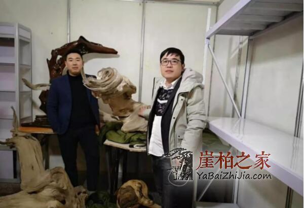 2019太原崖柏展爆发:百万黑骨成交,单日成交额达1000多万!-4
