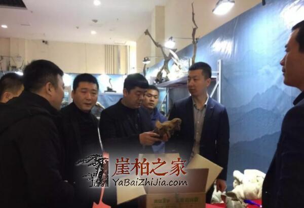 2019太原崖柏展爆发:百万黑骨成交,单日成交额达1000多万!-11