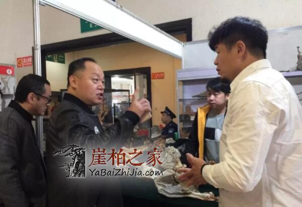 2019太原崖柏展爆发:百万黑骨成交,单日成交额达1000多万!-10