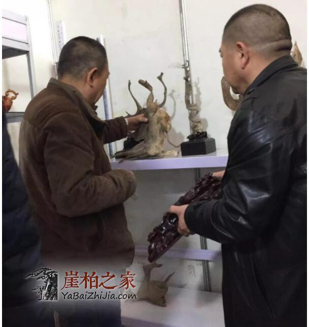 2019太原崖柏展爆发:百万黑骨成交,单日成交额达1000多万!-12