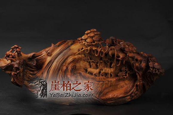崖柏:男人的身份证,女人的美容院-1