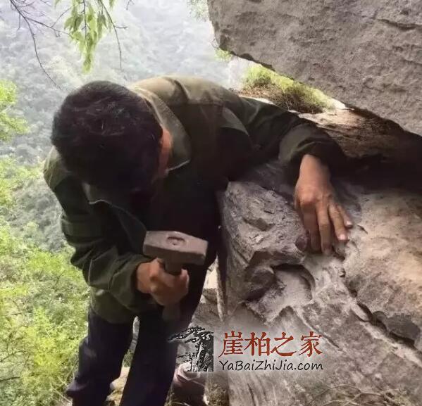 崖柏扁根料:悬崖石缝中的精灵!-2
