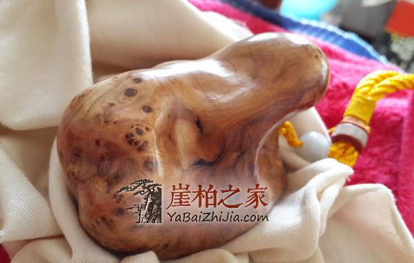 如何盘出完美崖柏手把件?-1