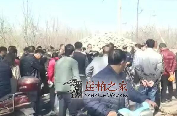 焦作崖柏市场,森林公安大力查处“生料”-1