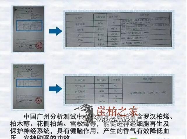 崖柏茶的功效与作用,崖柏怎么泡水喝?-3