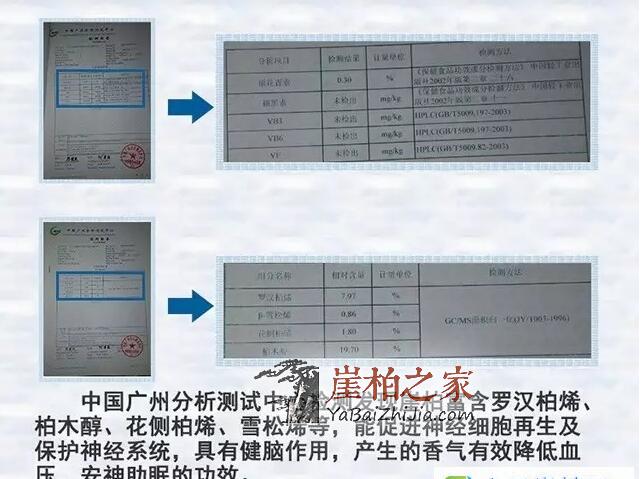 崖柏茶的功效与作用，崖柏怎么泡水喝？-3