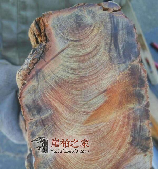 崖柏红油料黑油料有何区别,哪种料子好?-1