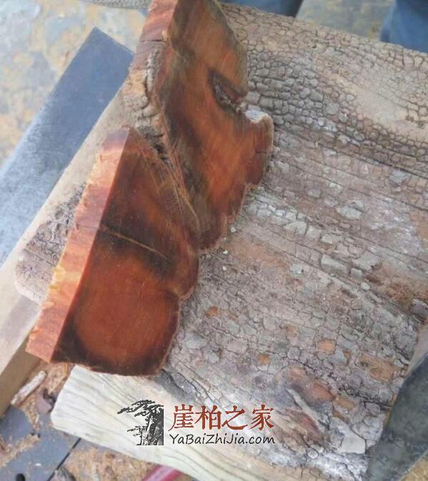 崖柏红油料黑油料有何区别,哪种料子好?-2