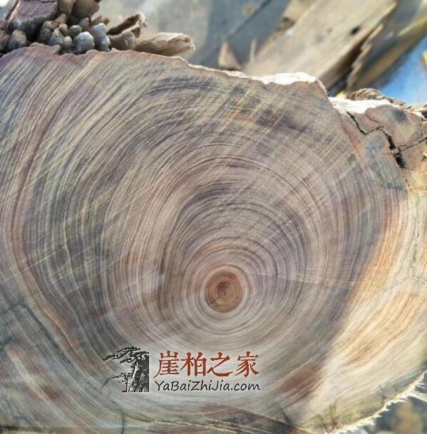 崖柏红油料黑油料有何区别,哪种料子好?-3