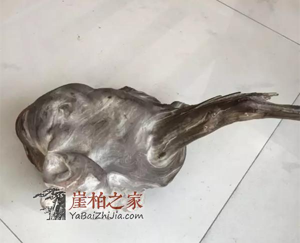 什么是崖柏骨料,崖柏骨料的分类-4