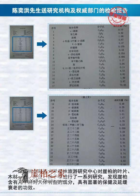 来吧来吧,崖柏吃、喝、抽、睡皆可以!-4
